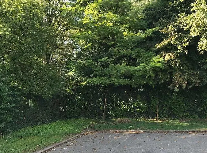 Beau M Euroairport Basel-freiburg *